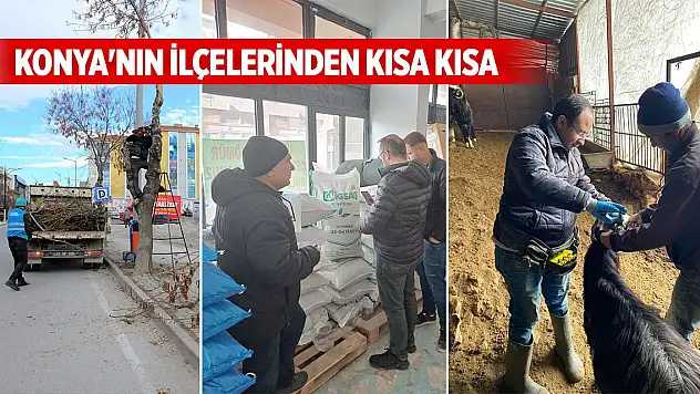 Konya'nın ilçelerinden kısa kısa haberler (10 Aralık 2024)