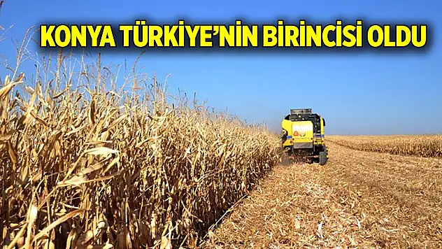 Konya Türkiye'nin birincisi oldu