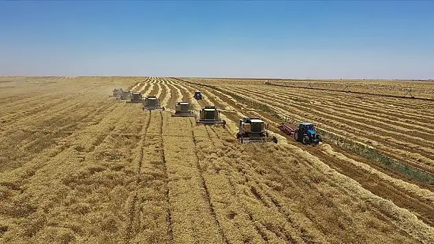 Üretim planlaması hububat üretimini olumlu etkileyecek