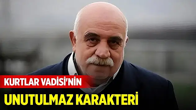 Kurtlar Vadisi'nin unutulmaz karakteri 'Halo Dayı': Sönmez Atasoy