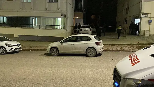 Anne ve oğlu evde ölü bulunmuştu... Cinayeti diğer oğlu işlemiş