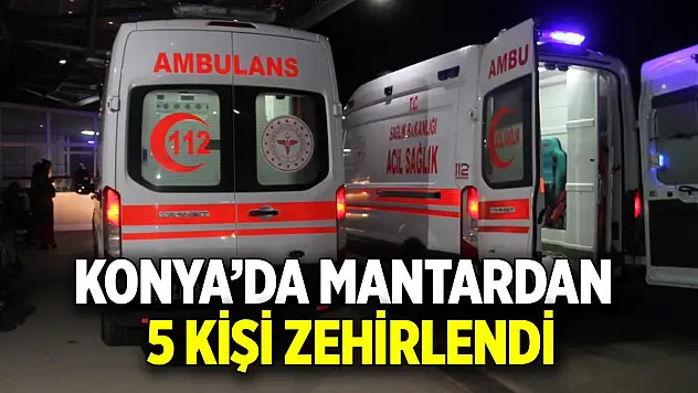 Konya'da mantardan 5 kişi zehirlendi
