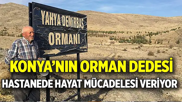 Konya'nın Orman Dedesi  Hastanede hayat mücadelesi veriyor