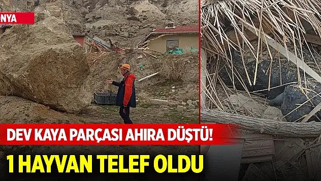 Konya'da dev kaya parçası ahıra düştü! 1 hayvan telef oldu