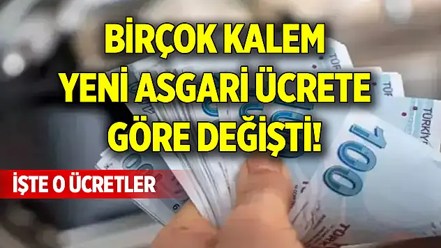 Birçok kalem yeni asgari ücrete göre değişti! İşte o ücretler