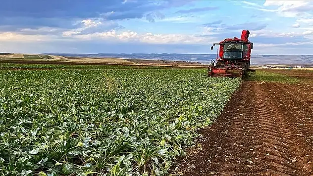 Üreticiler dikkat! Çiftçi Kayıt Sistemi'ne kayıt için son günler