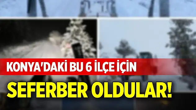 Konya'daki bu 6 ilçe için seferber oldular!