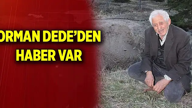 Orman Dede'den haber var