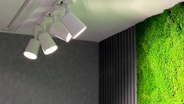 Ray spot amacı ve işlevi