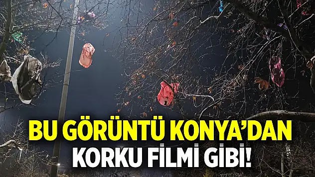 Konya'da korku filmlerini andıran görüntü