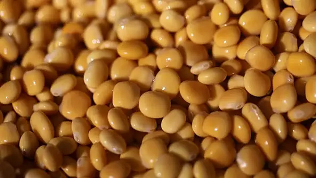 En çok konya'da üretildi  Konya'nın markası oldu