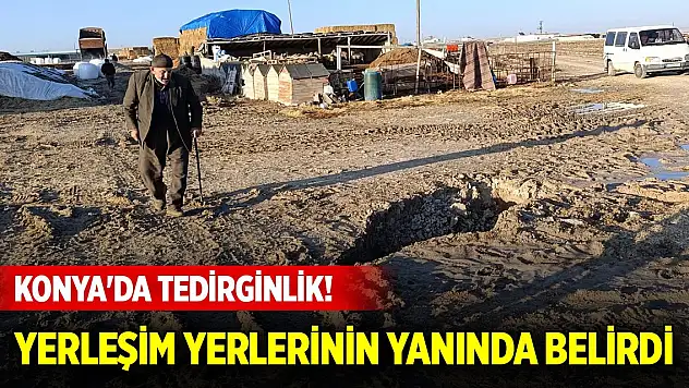 Konya'da tedirginlik! Yerleşim yerlerinin yanında belirdi