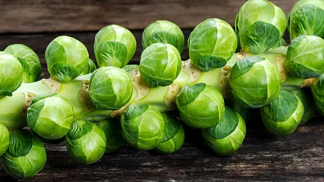 Diyette kullanılması gereken 9 sebze