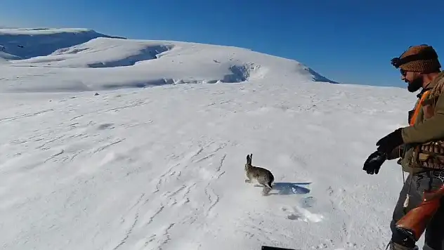 Konya'da avcılar yakaladı! Farkındalık için doğaya geri bırakıldı