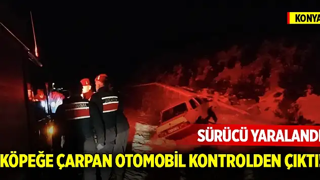 Konya'da  otomobil köpeğe çarparak kontrolden çıktı! Sürücü yaralandı