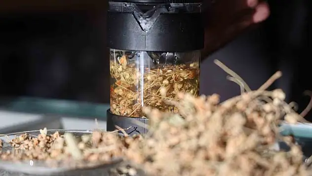 Kış aylarının doğal şifa kaynağı