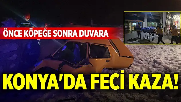 Konya'da feci kaza! Önce köpeğe sonra duvara