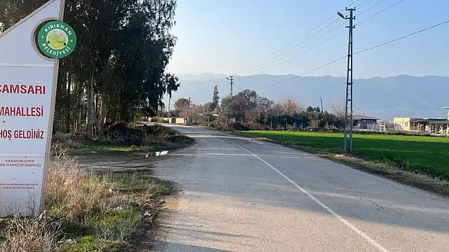 Bir ilde kuduz alarmı! Karantinaya alındı