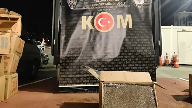 Yalova'da 3 milyon adet dolu makaron ele geçirildi