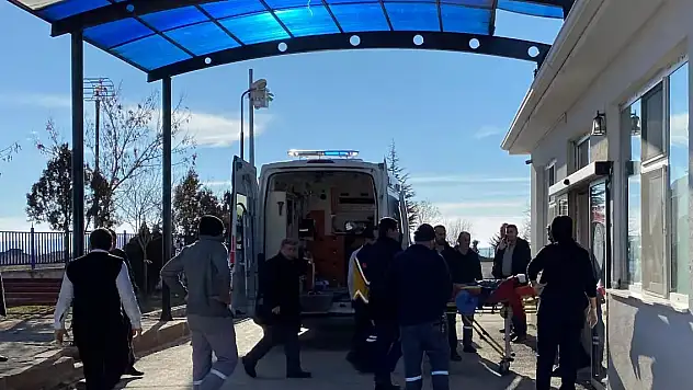 Ankara'da başıboş sokak köpekleri çocuğa saldırdı!