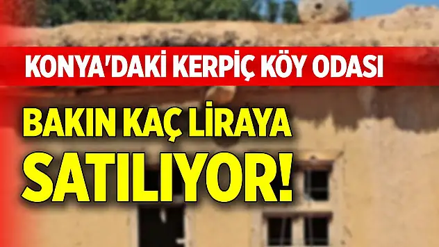 Konya'daki kerpiç köy odası bakın kaç liraya satılıyor!