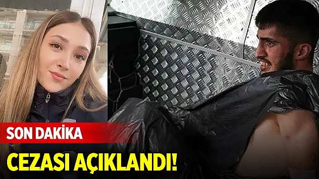 Açıklandı! Şeyda Yılmaz'ı şehit eden Yunus Emre Geçti bakın kaç yıl ceza aldı!