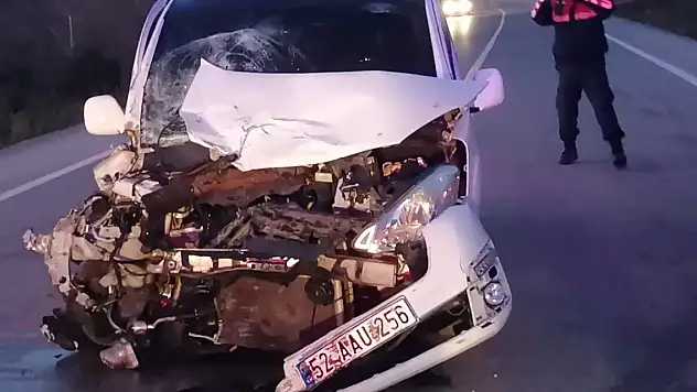 Ordu'da Alzheimer hastası kazaya neden oldu, araçlar çarpıştı: 2 ölü, 5 yaralı