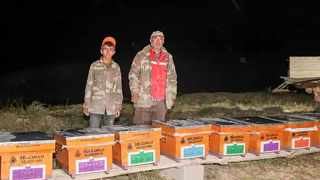 Konya'daki belediye arı satın alacak