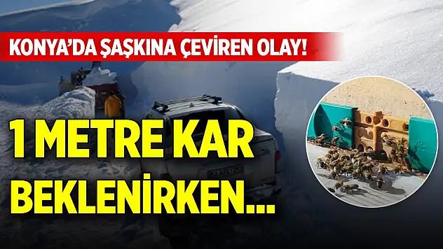 Konya'da şaşkına çeviren olay! 1 metre kar beklenirken...