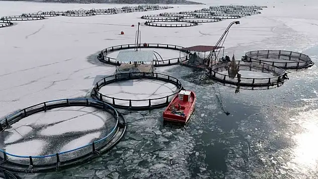 Antarktika değil Erzincan!