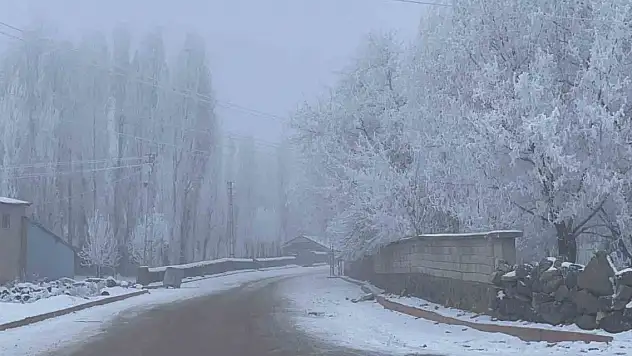 Sibirya soğukları dondurdu!