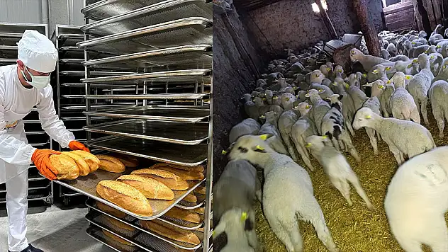 Konya'nın ilçelerinden kısa kısa haberler (14 Ocak 2025)