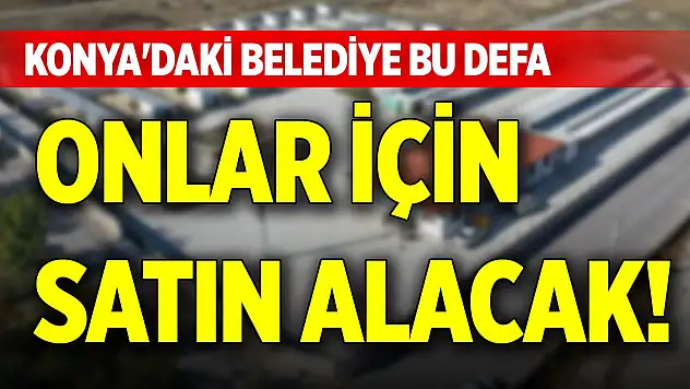 Konya'daki belediye bu defa onlar için satın alacak!