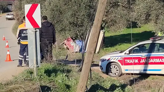 İzmir'de 3 tekerlekli motosiklet zeytin ağacına çarptı 2 kardeş öldü