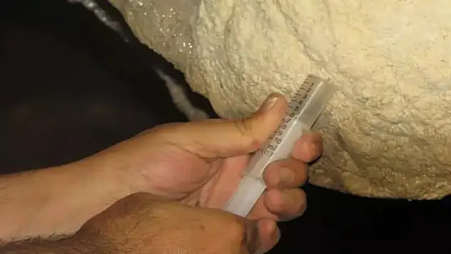 Türkiye'de bir ilk! Mağarada keşfedildi