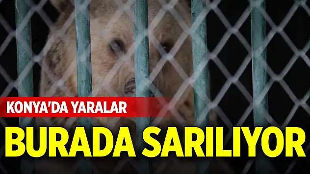 Konya'da yaralar burada sarılıyor