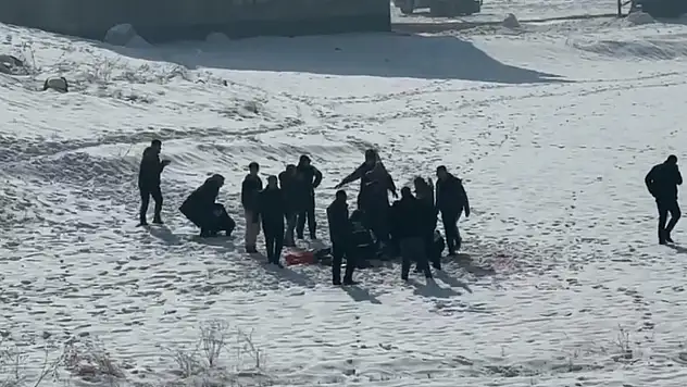 Eslem'in ölümü sonrası bölgedeki sokak köpekleri toplanıyor