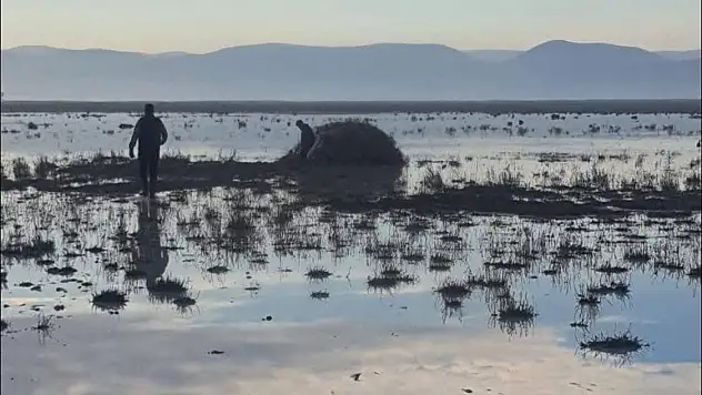 Konya'da kaçak avcıya şok ceza