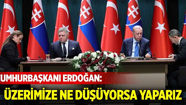 Cumhurbaşkanı Erdoğan: Türkiye olarak üzerimize ne düşüyorsa yaparız