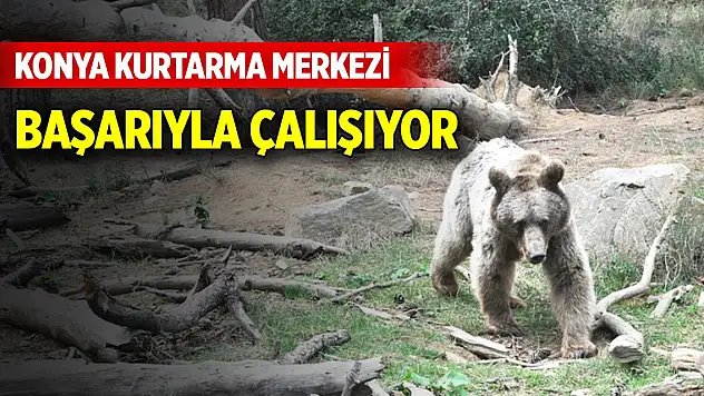 Konya Kurtarma Merkezi başarıyla çalışıyor