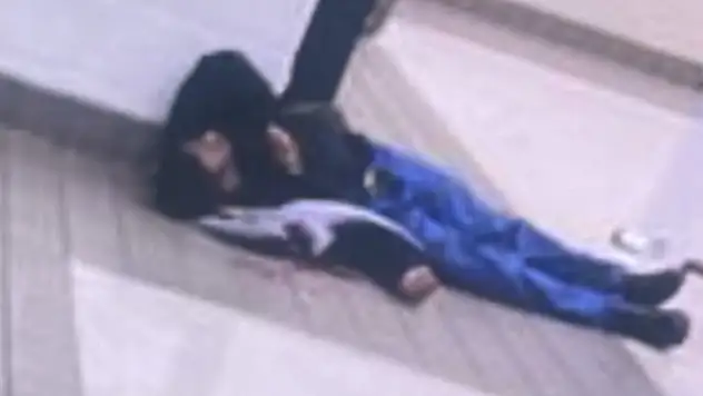 ABD'de lisede silahlı saldırı: 2 ölü, 1 yaralı