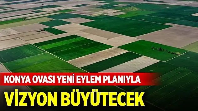 'Türkiye'nin tahıl ambarı' Konya Ovası yeni eylem planıyla vizyon büyütecek