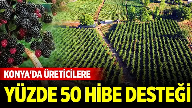 Konya'da üreticilere bahçe kurulumu desteği! Yüzde 50'si hibe olacak