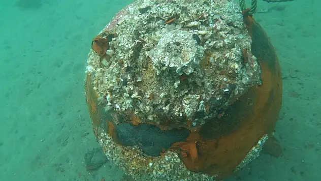 Bulunan mayın imha edildi