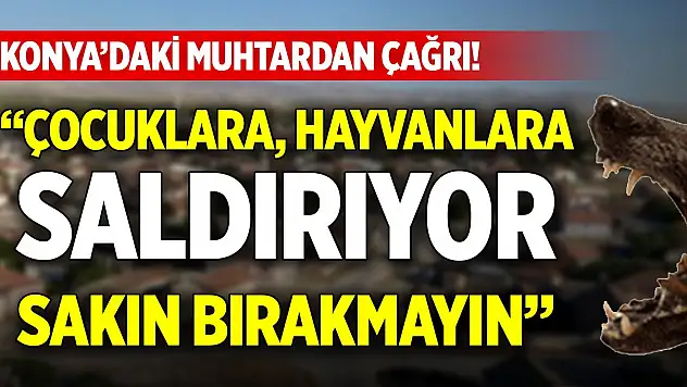 Konya'daki muhtardan çağrı! 'Çocuklara, hayvanlara saldırıyor, sakın bırakmayın'