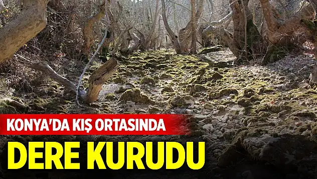 Konya'da kış ortasında dere kurudu