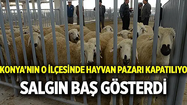 Konya'nın o ilçesinde hayvan pazarı kapatılıyor  Salgın baş gösterdi