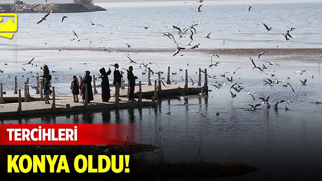 Göçmen kuşların tercihi Konya