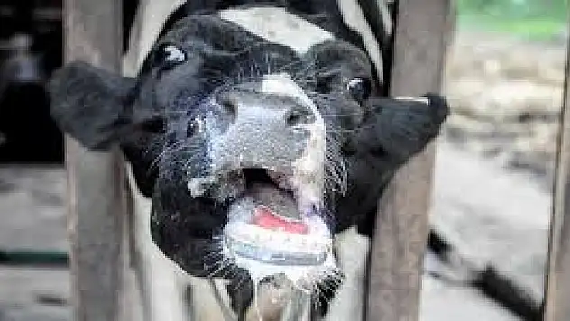 Karaman'da 7 köyde karantina başlatıldı