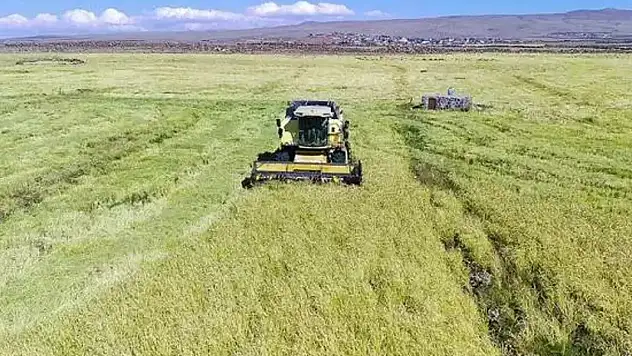 Tarım ve gıda ürünleri ihracatında rekor kırıldı
